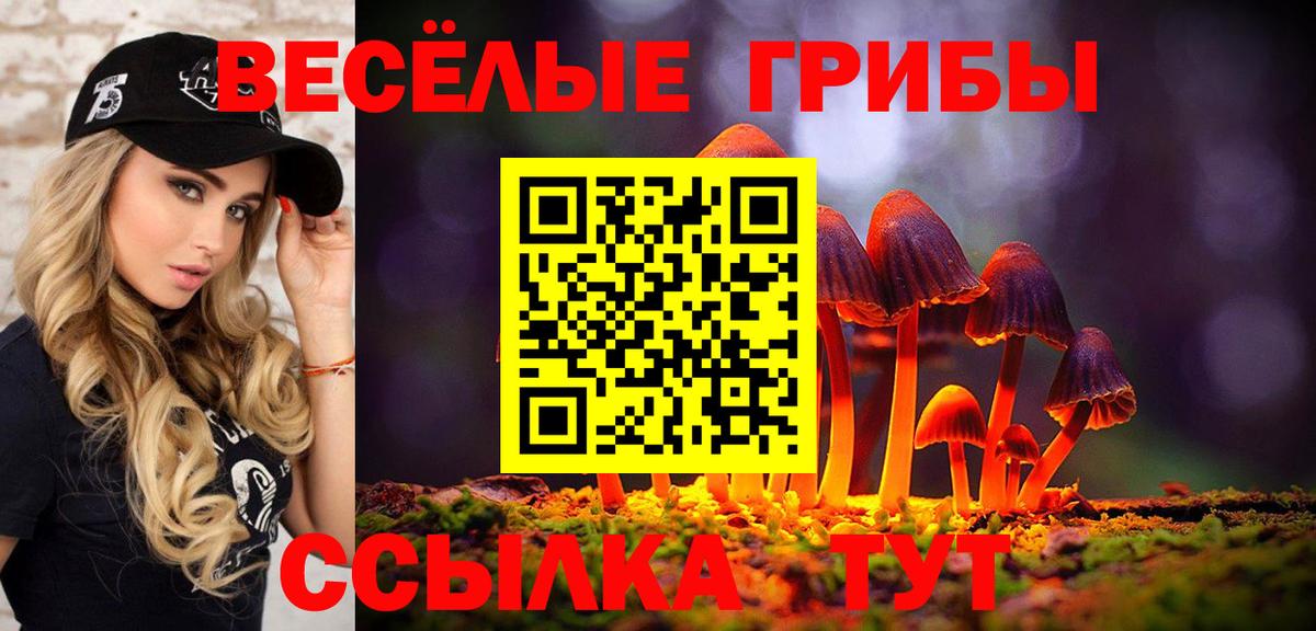 Псилоцибиновые грибы ЛСД Тавда